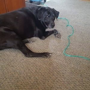 Meet your Posher, Christine